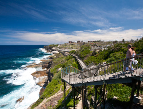 20 free things to do in Sydney